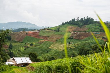 Tayland, Tayland 'da doğal manzara.