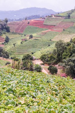Tayland, Tayland 'da doğal manzara.