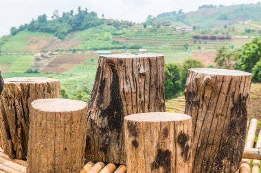 Oturmak için ahşap kütükler, doğal manzara, Tayland.