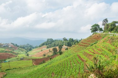 Tayland, Tayland 'da doğal manzara.