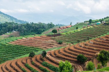 Tayland, Tayland 'da doğal manzara.