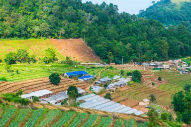 Tayland, Tayland 'da doğal manzara.