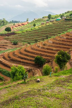 Tayland, Tayland 'da doğal manzara.