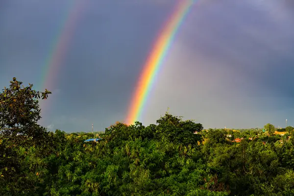 Rainbow with tree foreground at Chiangmai province, Thailand.
