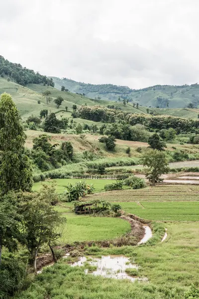 Tayland 'ın Chiang Rai eyaletinde güzel doğal manzara..