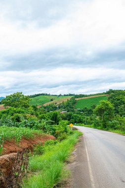 Chiang Mai, Tayland 'ın Mae Chaem ilçesinin yolu ile dağdaki tarım alanı.