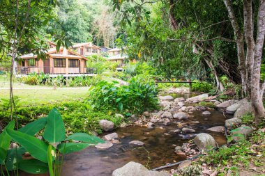 Tayland 'da orman ve yazlık evler.