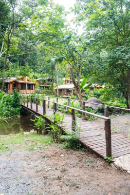 Tayland 'da orman ve yazlık evler.