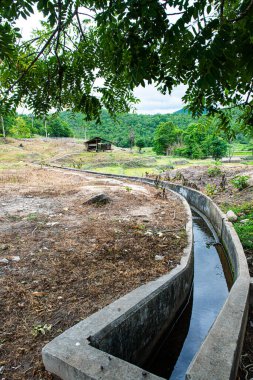 Tayland 'ın Chiangmai eyaletinde beton oluğu olan dağda tarım alanı..