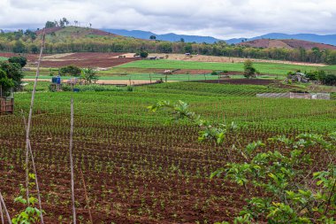 Chiang Mai, Tayland 'da Mae Chaem bölgesinin dağ manzaralı tarım alanı.