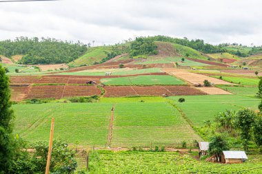 Chiang Mai, Tayland 'da Mae Chaem bölgesinin dağ manzaralı tarım alanı.