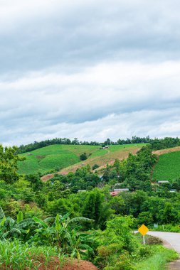 Chiang Mai, Tayland 'ın Mae Chaem ilçesinin yolu ile dağdaki tarım alanı.