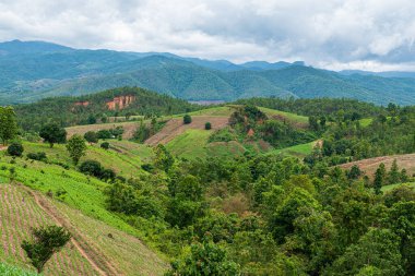 Chiang Mai, Tayland 'da Mae Chaem bölgesinin dağ manzaralı tarım alanı.
