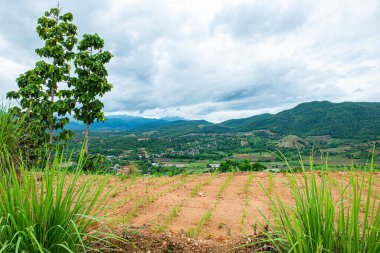 Chiang Mai, Tayland 'da Mae Chaem bölgesinin dağ manzaralı tarım alanı.