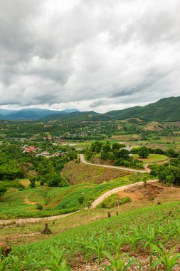 Chiang Mai, Tayland 'da Mae Chaem bölgesinin dağ manzaralı tarım alanı.
