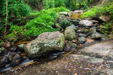 Doğal Park, Tayland 'da Wang Bua Ban şelalesinde su akışı.