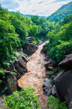 Kahverengi su Ob Luang Ulusal Parkı 'nda akıyor, Tayland.