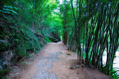 Ob Luang Ulusal Parkı 'ndaki Doğal Yol, Chiangmai.