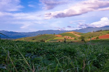 Chiang Mai, Tayland 'da Mae Chaem bölgesinin dağ manzaralı tarım alanı.