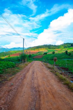 Chiang Mai, Tayland 'da Mae Chaem bölgesinin dağ manzaralı tarım alanı.