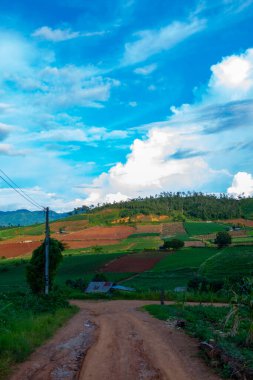Chiang Mai, Tayland 'da Mae Chaem bölgesinin dağ manzaralı tarım alanı.
