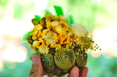 Küçük vazolarda kurumuş çiçekler, Tayland.