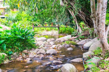 Tayland 'da tahta köprüsü olan küçük bir kanal..