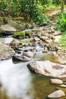 Doğal Park 'ta Su Akıyor, Tayland.
