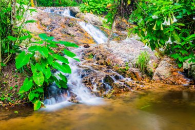 Mae Kampong Şelalesinde Su Akıntısı, Tayland.