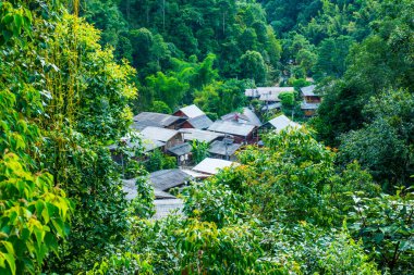 Tayland 'da ormandaki küçük bir köy..