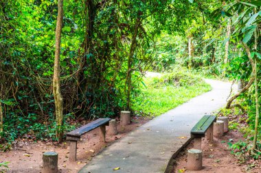 Ulusal Park 'ta yürüyüş yolu, Tayland.