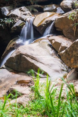 Thai Ormanı, Tayland 'da Su Akıntısı.