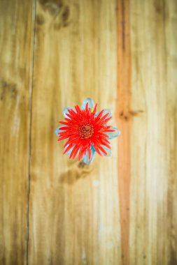 Tahta masada küçük Gerbera çiçeği, Tayland