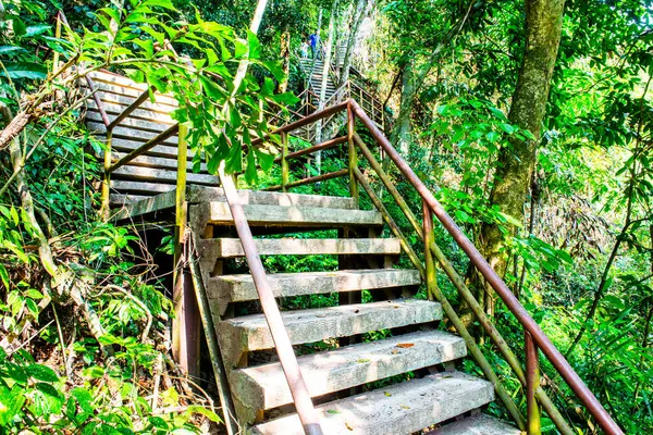 Tayland 'daki ulusal parkta beton merdiven..