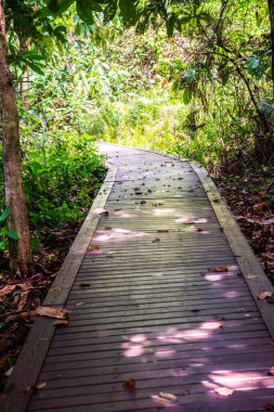 Phu Sang, Tayland 'da doğa yolu..