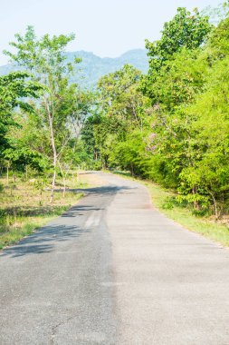 Kamu parkında, Tayland 'da.