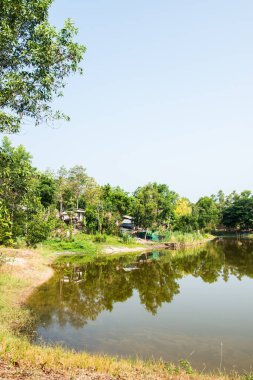 Tayland, Tayland 'da köy manzarası.
