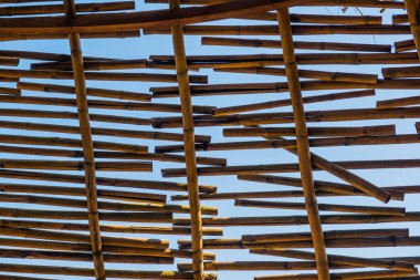 Bambu rendeliyor mavi gökyüzü, Tayland.