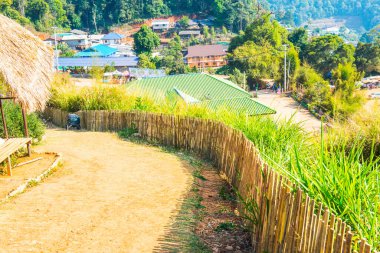 Tayland 'ın Chiangmai bölgesindeki Mon Jam tepesinde toprak yolu olan bambu çitleri..