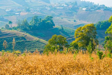 Tayland dağ manzarası, Tayland