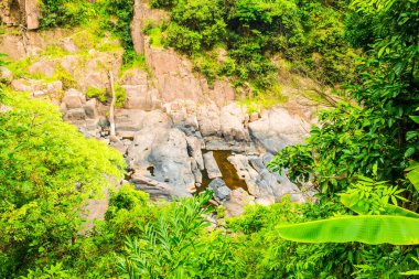 Khaoyai Ulusal Parkı, Tayland.