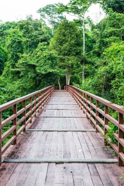 Tayland 'daki ulusal parkta tahta köprü..