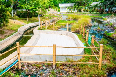 Doisaket 'in Baharı, Tayland.