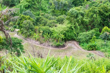 Tayland 'ın Chiangmai eyaletinde doğal manzara.