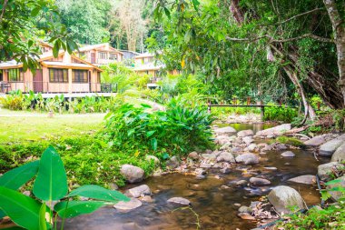 Tayland 'da orman ve yazlık evler.