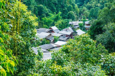 Tayland 'da ormandaki küçük bir köy..