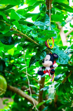 LAMPHUN, THAILAND - 12 Temmuz 2015: Ağaca asılı Mickey Mouse bebeği, Tayland.