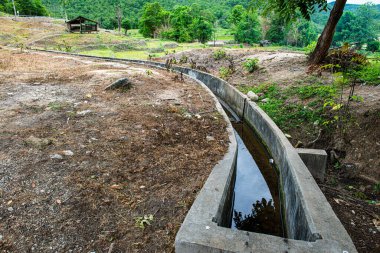 Tayland 'ın Chiangmai eyaletinde beton oluğu olan dağda tarım alanı..