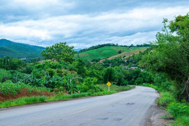 Chiang Mai, Tayland 'ın Mae Chaem ilçesinin yolu ile dağdaki tarım alanı.