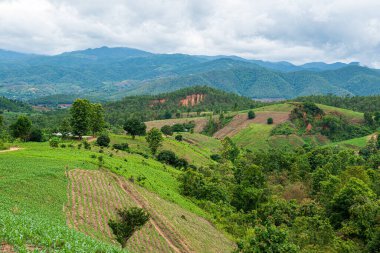 Chiang Mai, Tayland 'da Mae Chaem bölgesinin dağ manzaralı tarım alanı.